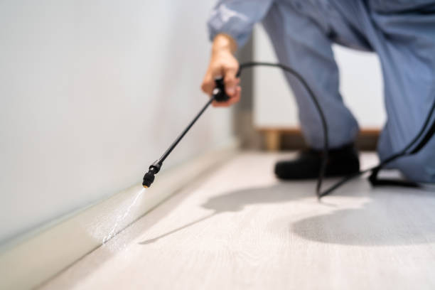 Licensed Pest Control service in Madison, NC - Show Me Pest Control